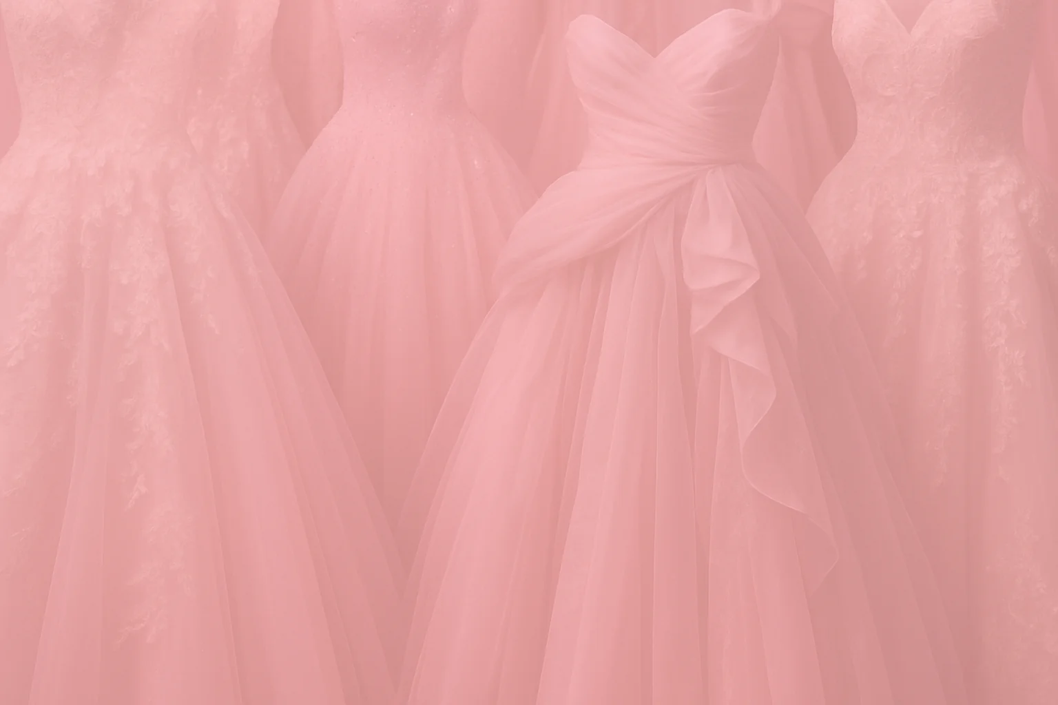 Elegant gown collection showcase